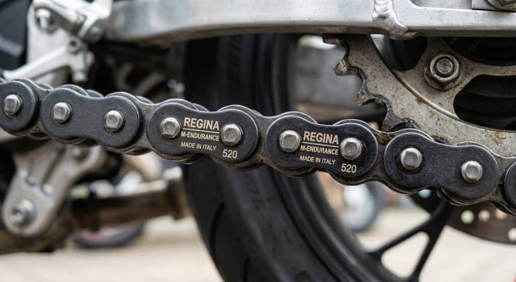 Gros plan sur les maillons d'une chaîne Regina M-Endurance traitée au carbone amorphe.